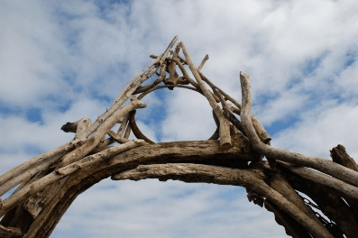 Driftwood archway