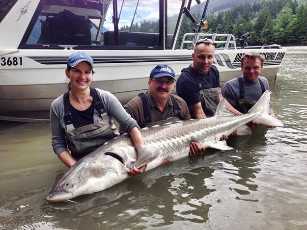 Hook a “monster fish”