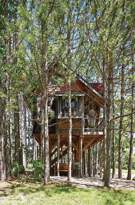 Outside of treehouse