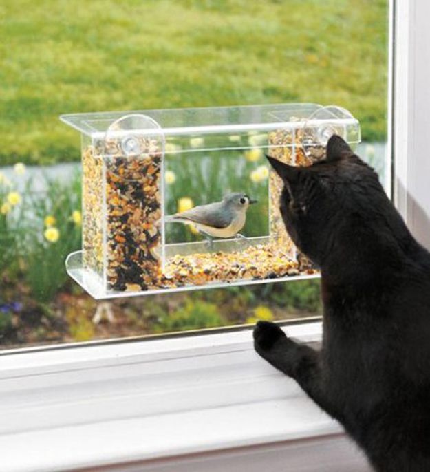 One-way mirror bird feeder