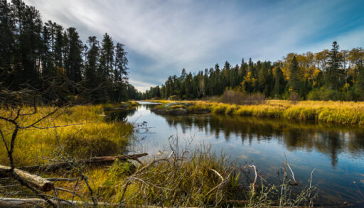River above the Rushing River falls near Kenora, Ontario.