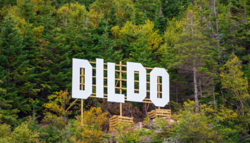 White sign surrounded by trees for Dildo, Newfoundland and Labrador.