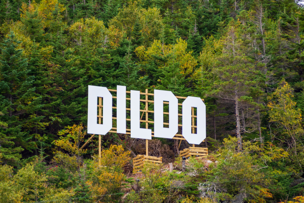 White sign surrounded by trees for Dildo, Newfoundland and Labrador.
