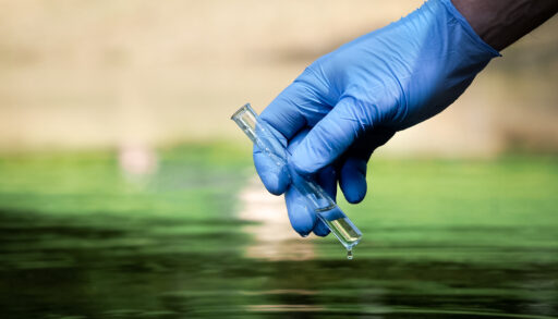 Close-up of a person wearing a blue glove holding a test tube and sampling lake water.