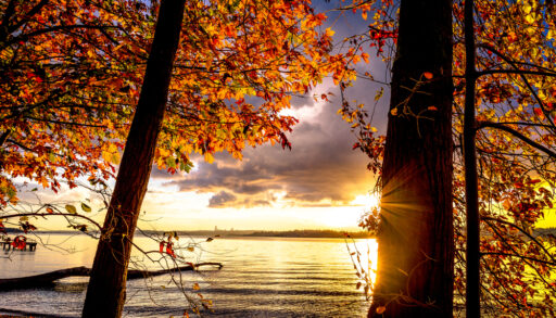 Golden sunlight shining through trees with orange leaves on Lake Washington.