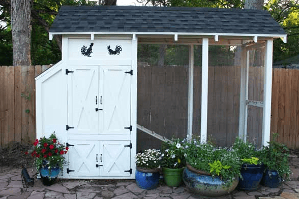Chicken Coop