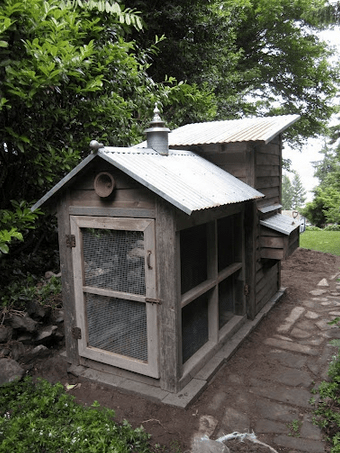 Chicken coop