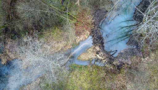 Aerial view of a massive beaver dam in a forest.
