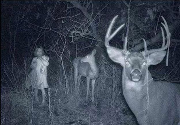 9 Spooky Trail Cam Photographs
