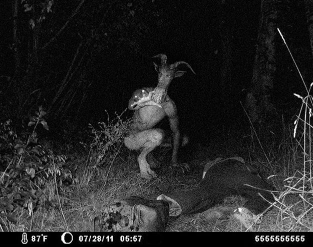 9 Spooky Trail Cam Photographs