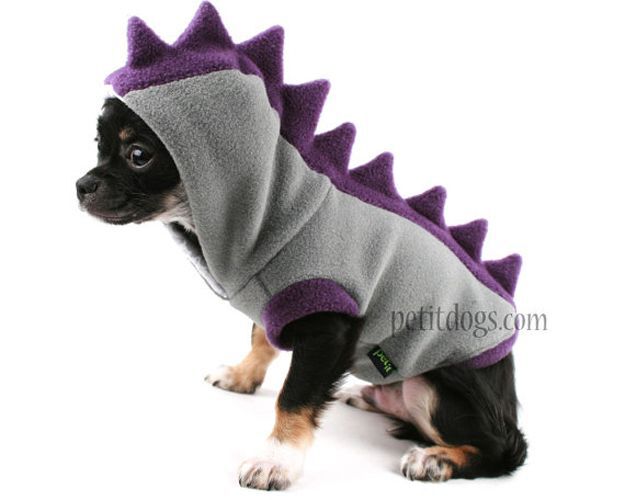16 Adorable pet costumes