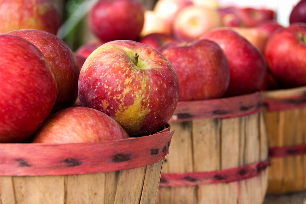 Close-up of wooden barrels filled with red apples.