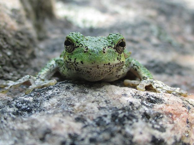 1st Place: Photos by Kids