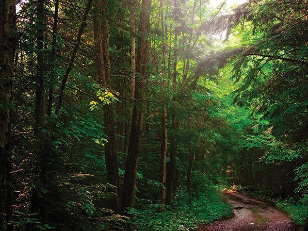 2nd Place: Nature and landscapes