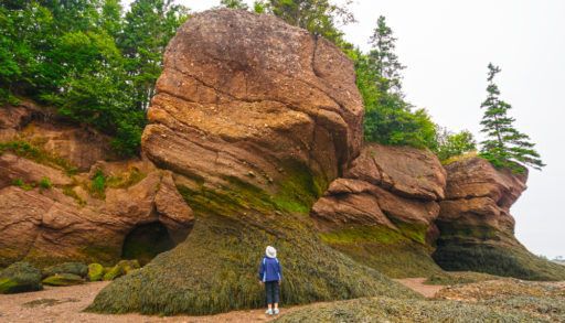 Hopewell Rocks, Bay of Fundy, New Brunswick