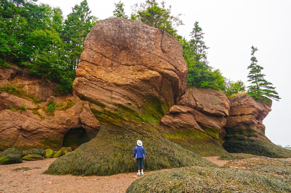 Hopewell Rocks, Bay of Fundy, New Brunswick