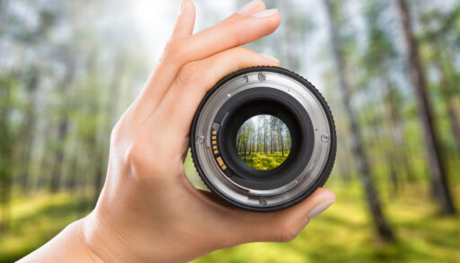 Person holding a camera lens with a view of a forest.