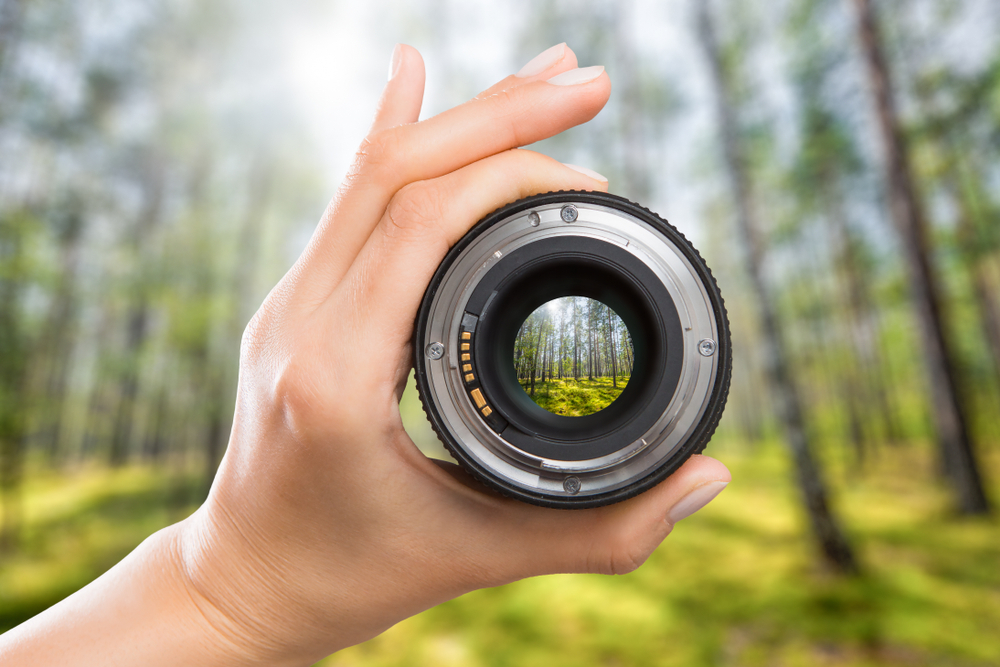 Person holding a camera lens with a view of a forest.