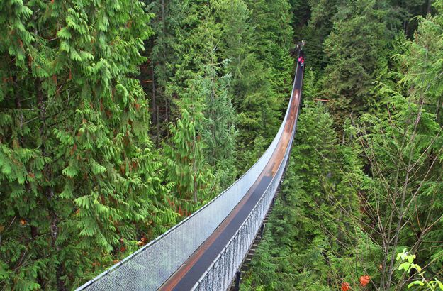Capilano Suspension Bridge, British Columbia