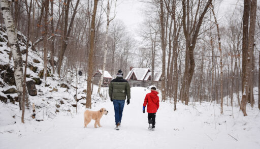 Father, son and dog walking down a path to a log cabin in winter.