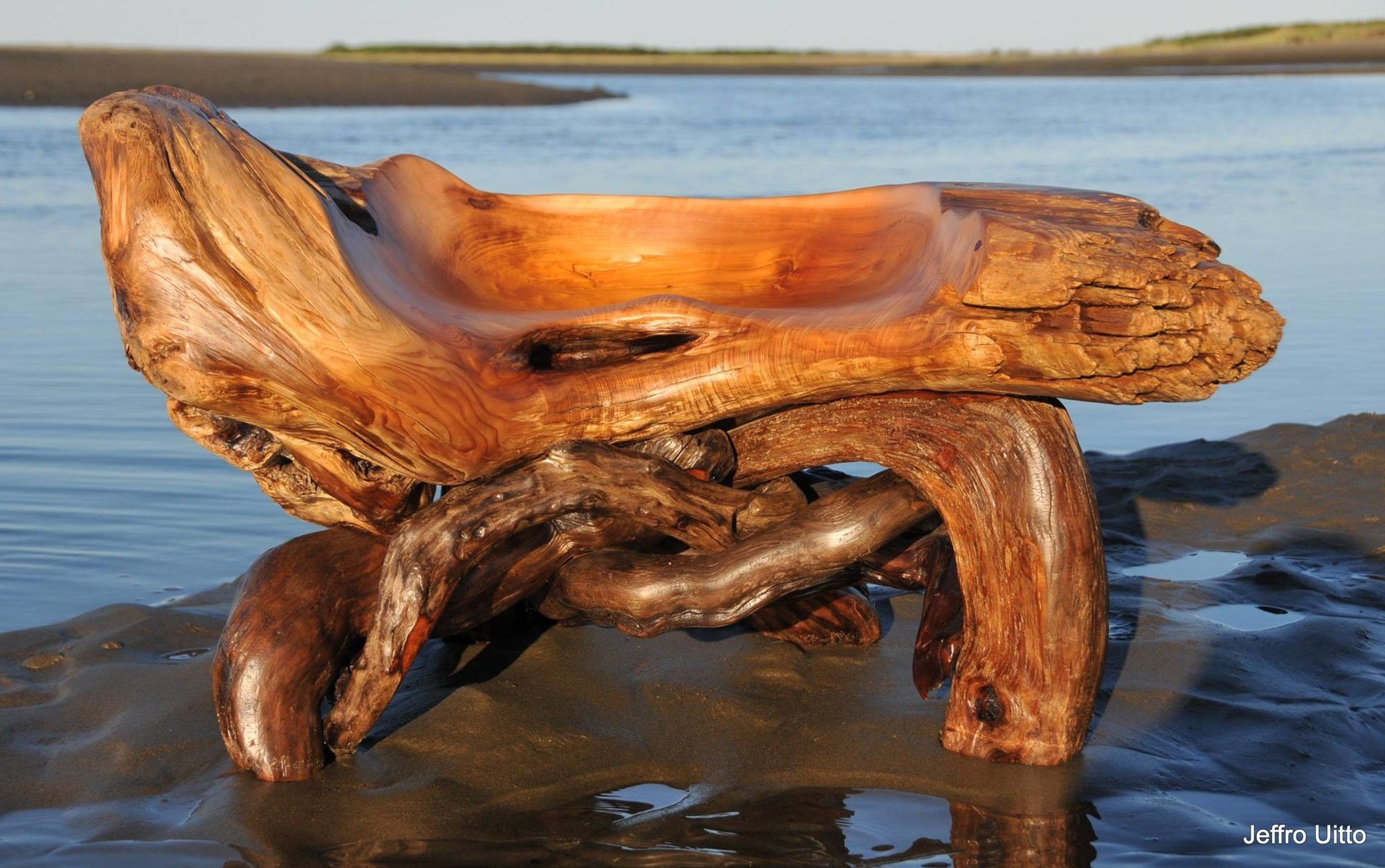 Cedar root stool