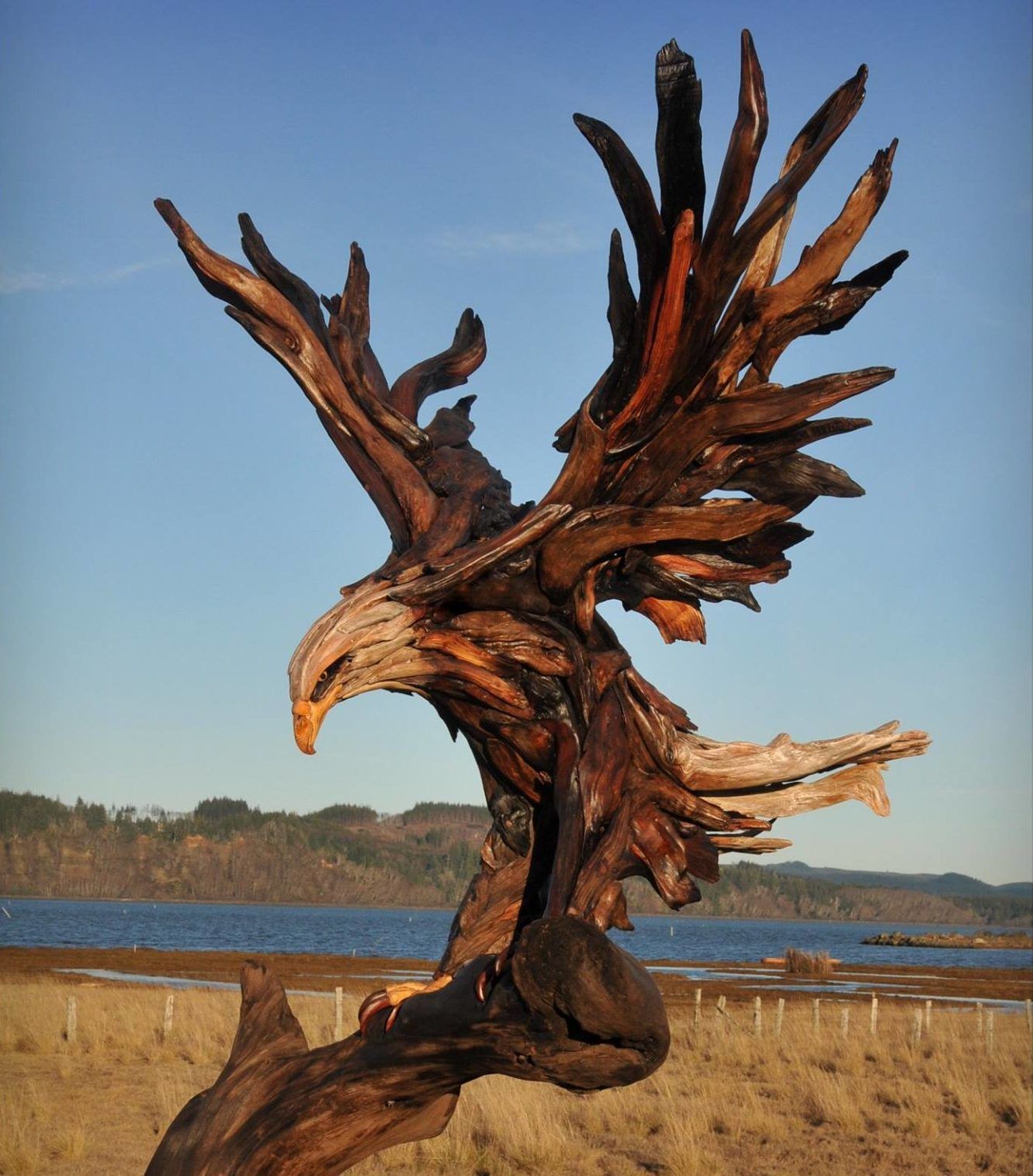 Driftwood Eagle