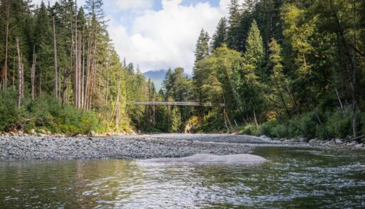 View of a suspension bridge over the Seymour River, in North Vancouver, B.C.