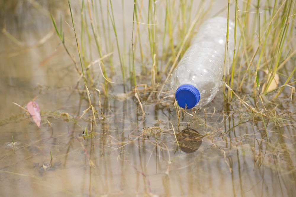 Close-up of a plastic bottle in a lake.