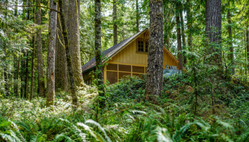 Wooden cabin in the middle of a forest in Oregon.