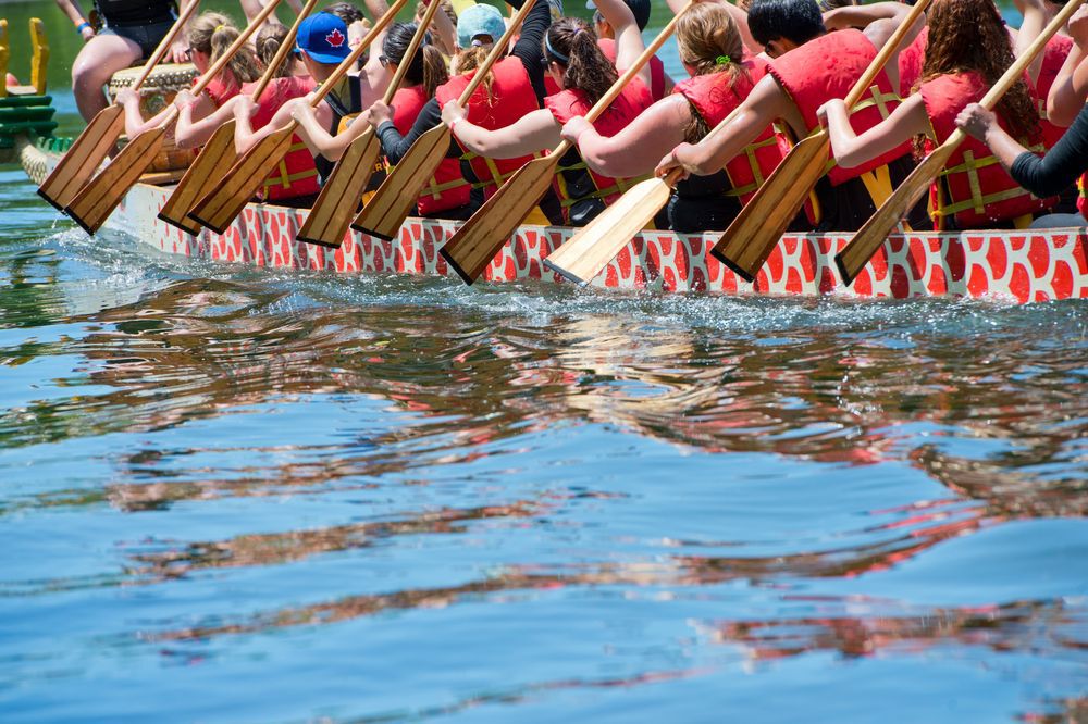 Close-up of paddles above the water as people paddle a dragon boat.