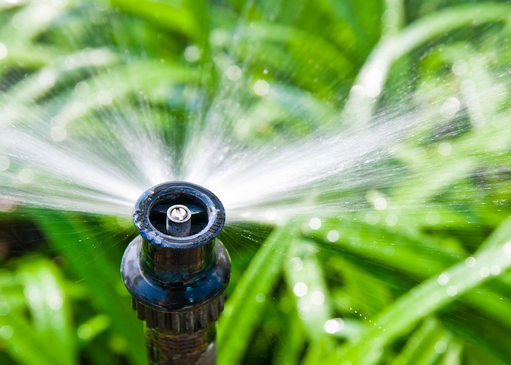Close-up of a lawn sprinkler.
