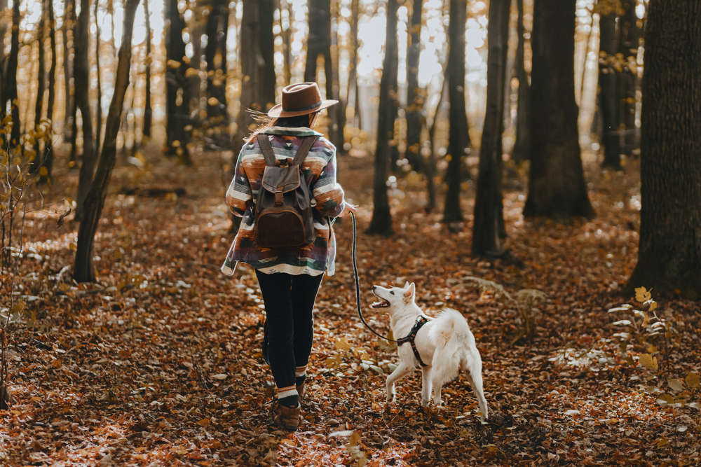 A woman hiking through the woods with her dog.