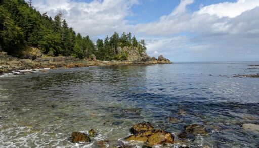 Beach surrounded by trees in Gwaii Haanas National Park, British Columbia.