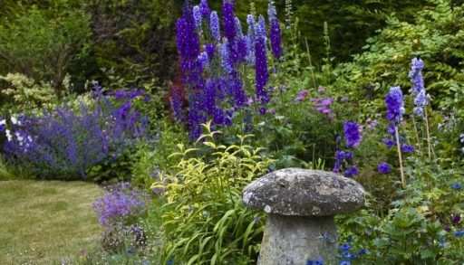 Cottage garden