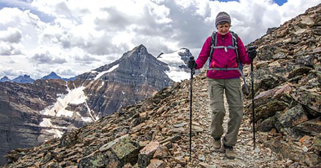 Telescoping hiking sticks