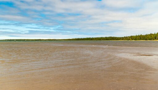 Singing Sands beach on Lake Huron in Bruce Peninsula National Park, Ontario.