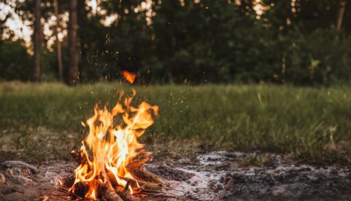 Close-up of a campfire burning with grass and trees in the background.