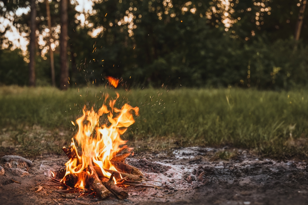Close-up of a campfire burning with grass and trees in the background.
