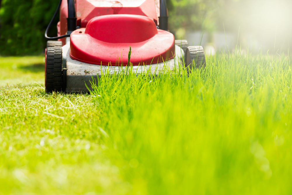 Close-up of a red lawnmower cutting grass.