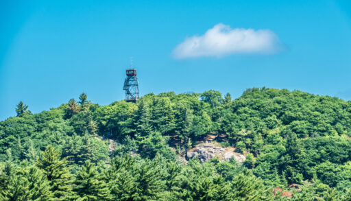 View of the Dorset Lookout Tower above a green forest in Dorset, Ontario.