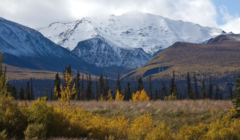 Kluane National Park