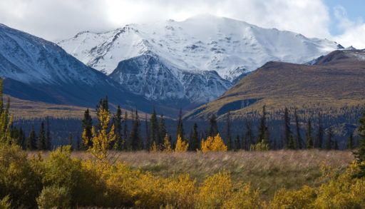 Kluane National Park
