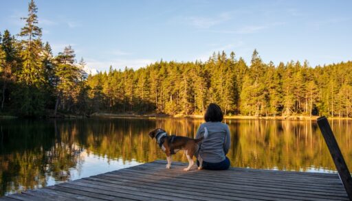 Woman sitting on a dock with a dog looking out at a lake surrounded by trees.
