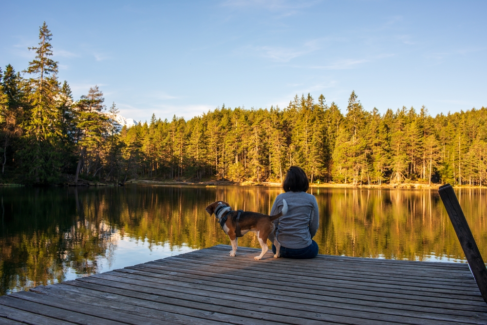 Woman sitting on a dock with a dog looking out at a lake surrounded by trees.