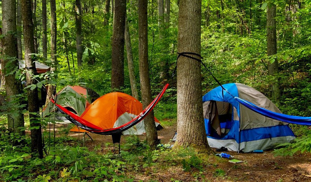 Hammocks set up next to tents in a forest.