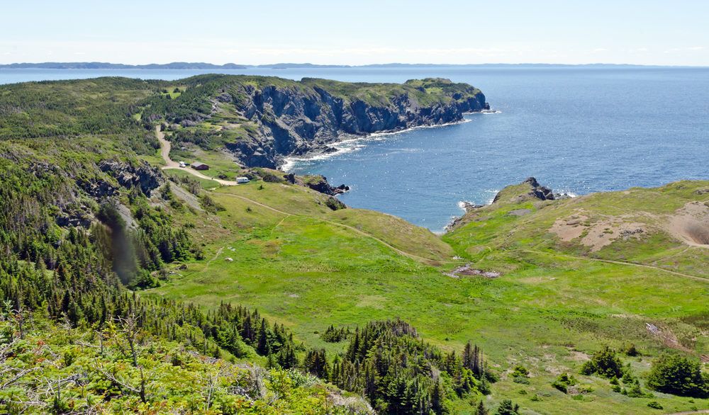 Green shore of the Newfoundland coast.