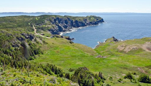 Green shore of the Newfoundland coast.