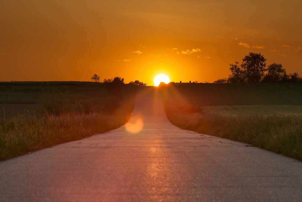 An empty road through a field at sunset.
