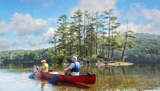 Father and son paddling in a red canoe on a lake surrounded by trees.