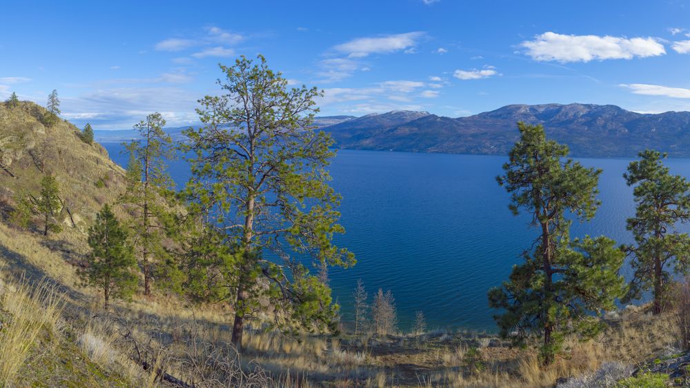 Peachland